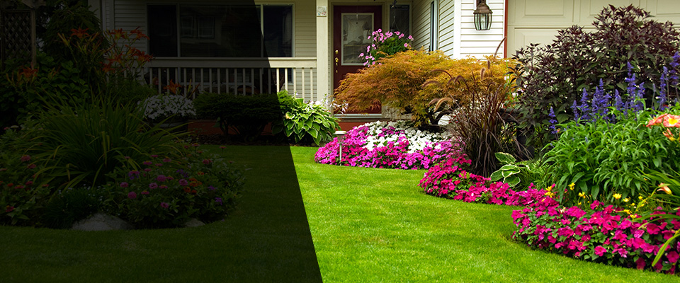 Glendale Landscapers