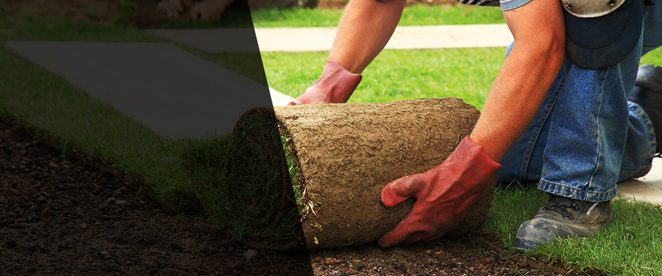 Glendale Landscapers